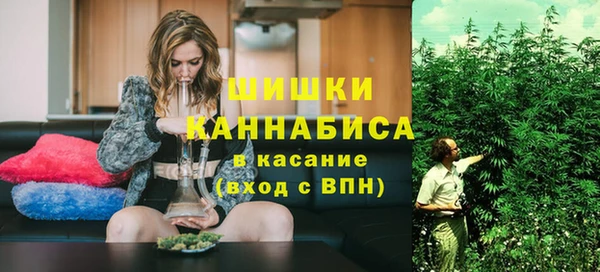 стаф Белокуриха