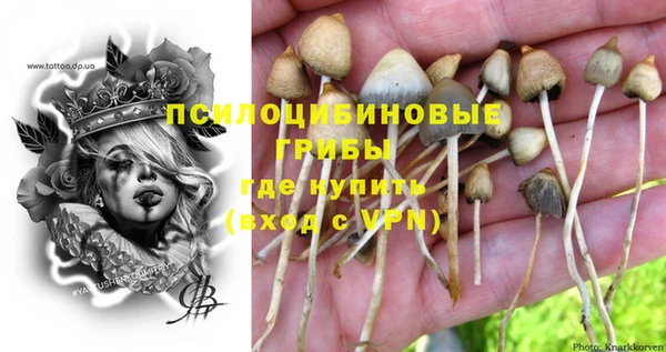стаф Белокуриха