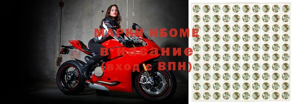 стаф Белокуриха