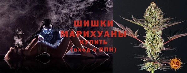 стаф Белокуриха